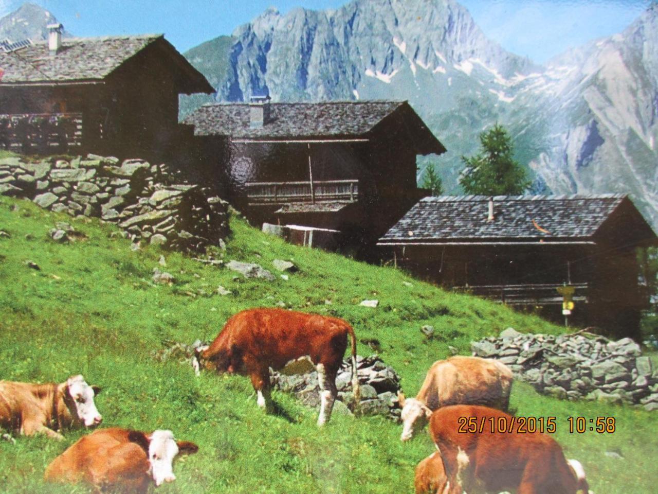 Ferienwohnung Lampeterhof Matrei in Osttirol Exterior foto